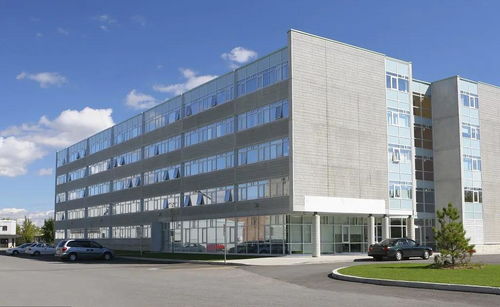 掛靠施工中，滿足特定條件即可直接向發包人主張工程款