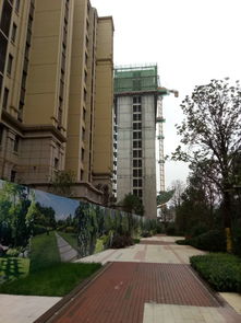 金輝上東區(qū)·金輝公園里項目房屋質(zhì)量問題亟待解決